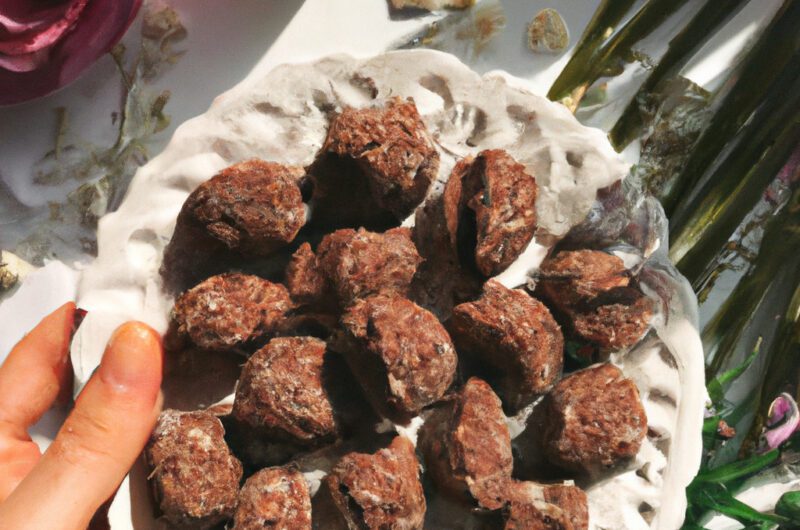 Vegan No-Bake Chocolate Coconut Macaroons with Dates